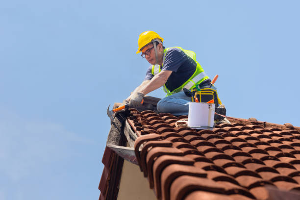 Best Sheet Metal Roofing  in Apollo Beach, FL